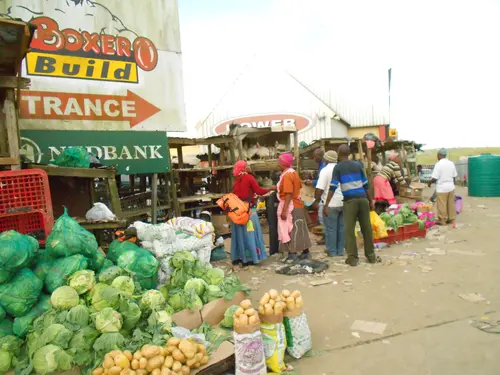 Photo 51 de Afrique (photos)