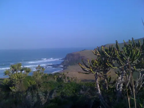 Photo 90 de Afrique (photos)
