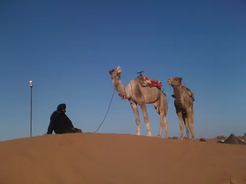 Photo 142 de Maroc