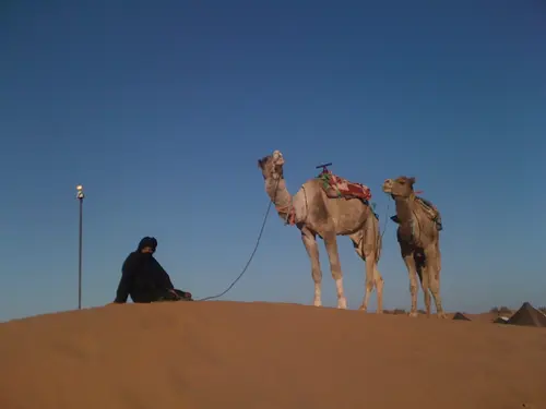 Photo 144 de Maroc