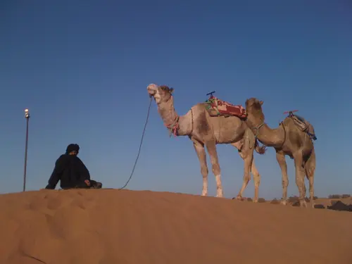 Photo 146 de Maroc