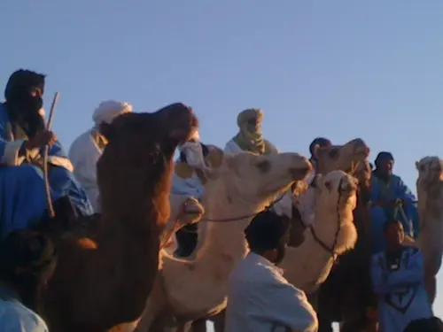 Photo 170 de Maroc