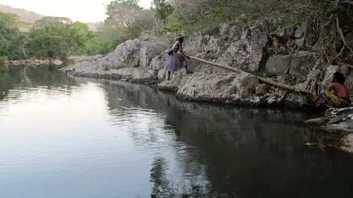 Photo 135 de Afrique (photos)