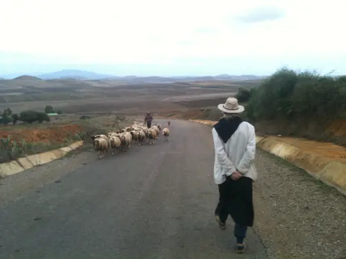 Photo 78 de Maroc