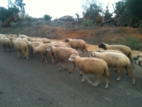 Photo 79 de Maroc