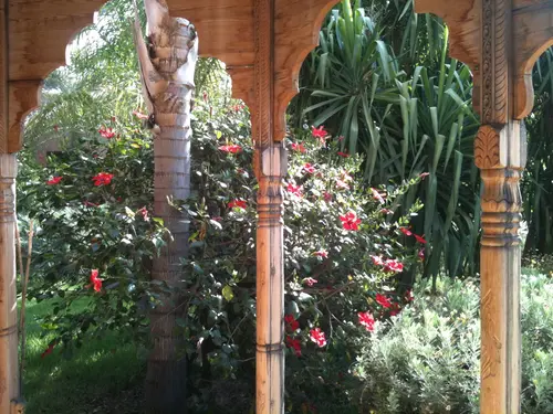 Photo 219 de Maroc