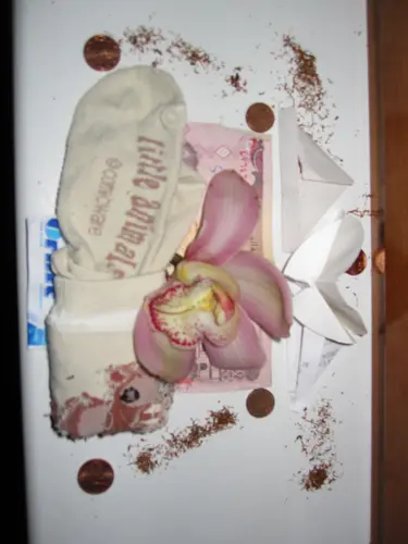 Photo 25 de À la maison (2008–2010)
