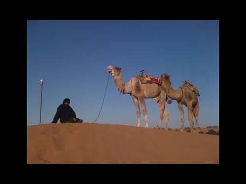 Photo 226 de Maroc