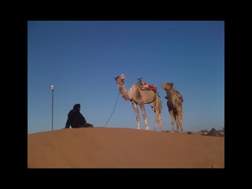 Photo 227 de Maroc