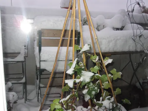 Photo 55 de À la maison (2008–2010)