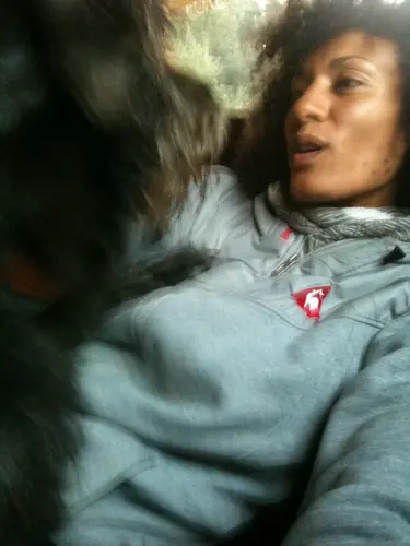 Photo 2 de Chats, chiens & maisons