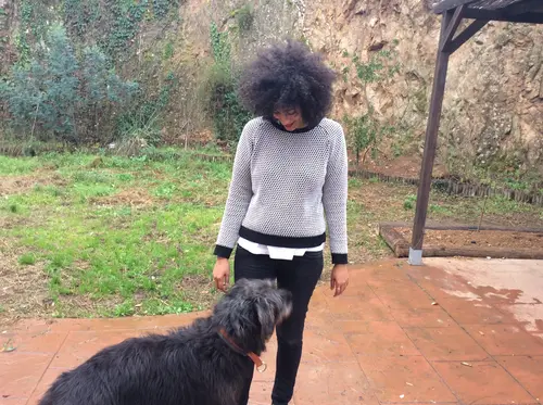 Photo 6 de Chats, chiens & maisons