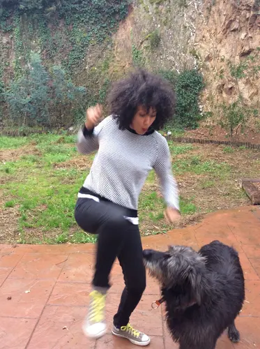 Photo 8 de Chats, chiens & maisons