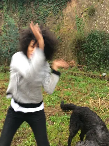 Photo 12 de Chats, chiens & maisons