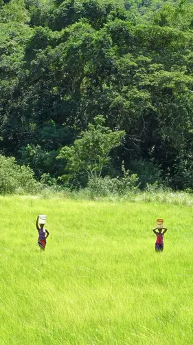 Photo 225 de Afrique (photos)