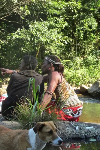 Photo 239 de Afrique (photos)