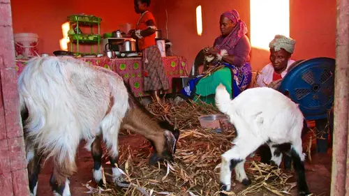 Photo 253 de Afrique (photos)