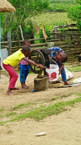 Photo 254 de Afrique (photos)