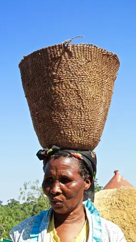 Photo 256 de Afrique (photos)