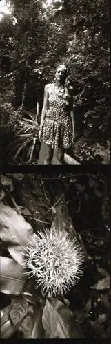 Foto 100 aus Afrika