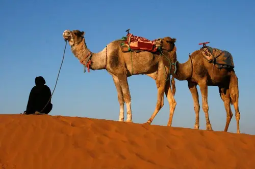 Photo 16 de Maroc