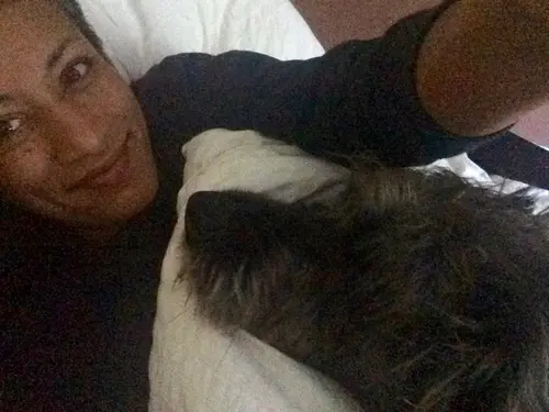 Photo 65 de Chats, chiens & maisons