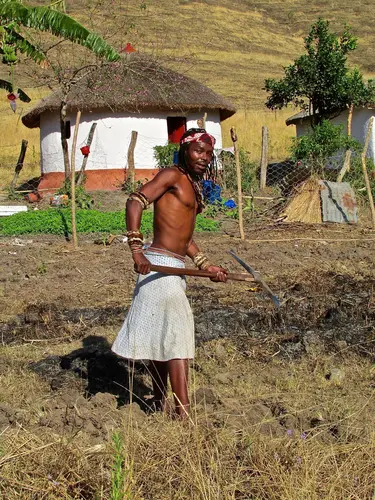 Photo 324 de Afrique (photos)