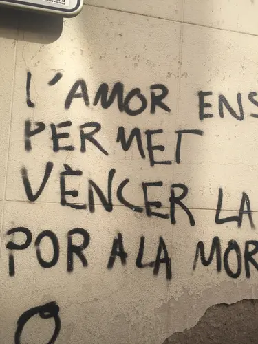 Foto 231 aus 2019–2021