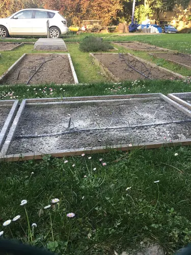 Foto 250 aus 2019–2021