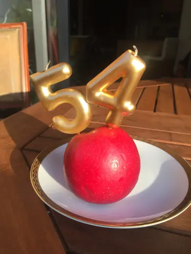 Foto 252 aus 2019–2021