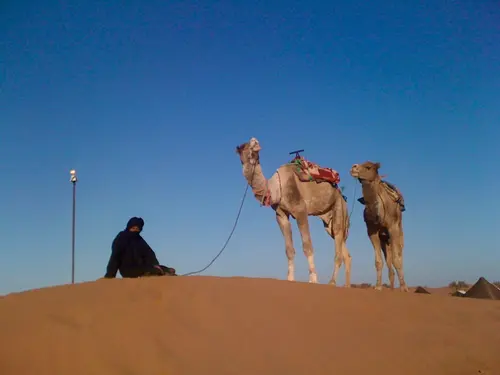 Photo 145 de Maroc