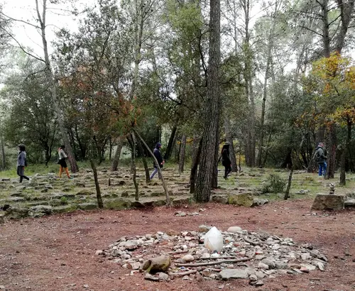 Foto 110 aus 2019–2021