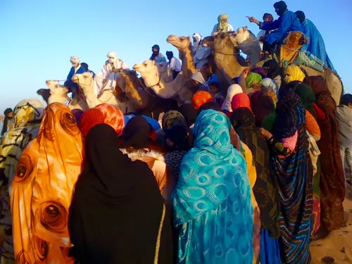 Photo 177 de Maroc
